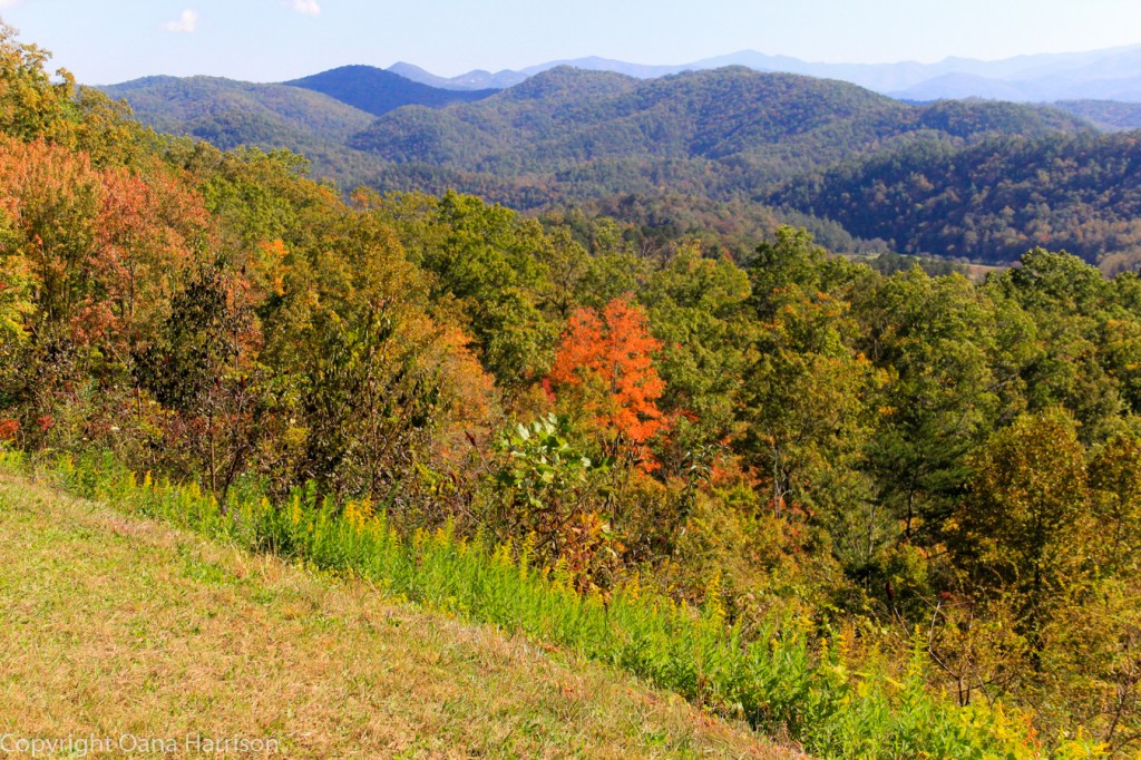 The Smokies with fall colors